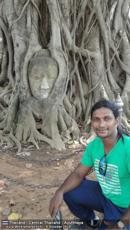 බෝධි වෘක්ෂයේ මුල් අතර පිහිටි ලොව ප්‍රසිද්ධ බුද්ධ හිස